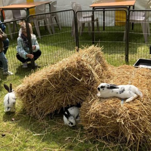 B9734284674Z.1_20230517115318_001+GKSMP8T6F.1-0